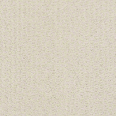 Complete Control Residential Carpet
