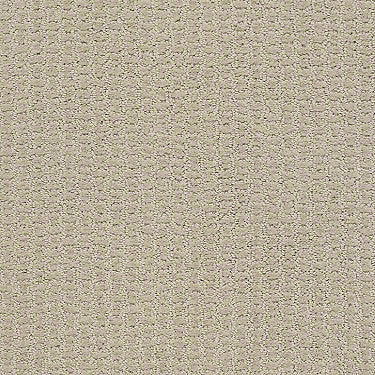 Complete Control Residential Carpet