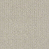 Complete Control Residential Carpet