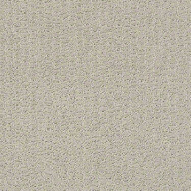 Complete Control Residential Carpet