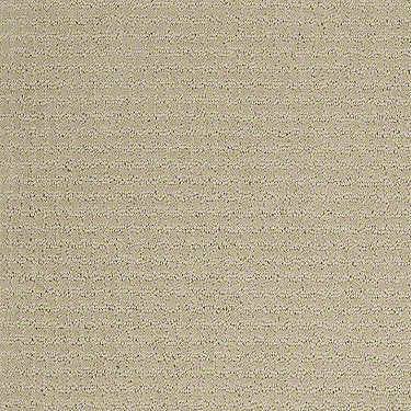 Complete Control Residential Carpet
