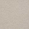 Complete Control Residential Carpet