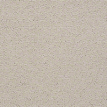Complete Control Residential Carpet
