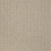 Complete Control Residential Carpet