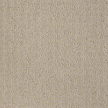 Complete Control Residential Carpet