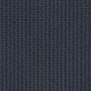 Complete Control Residential Carpet