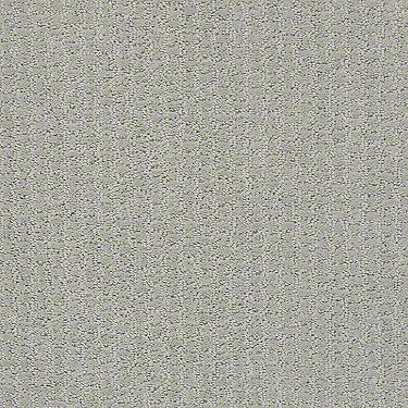 Complete Control Residential Carpet