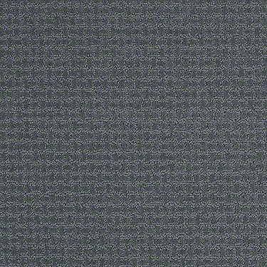 Complete Control Residential Carpet