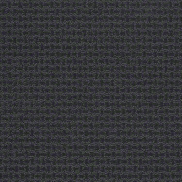 Complete Control Residential Carpet