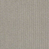 Complete Control Residential Carpet