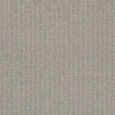 Complete Control Residential Carpet