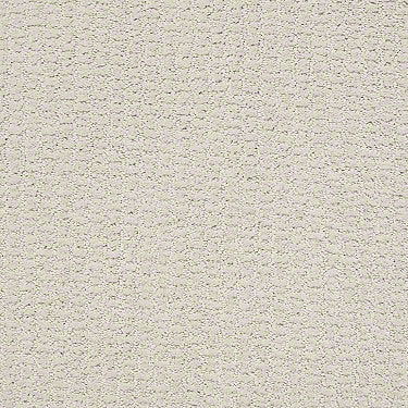 Complete Control Residential Carpet