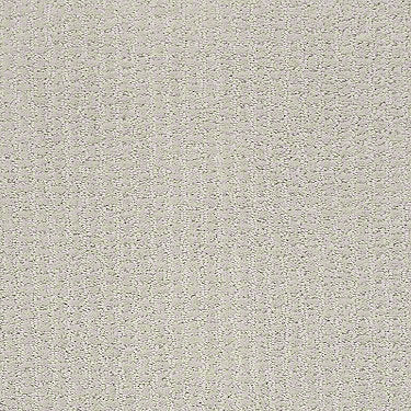 Complete Control Residential Carpet
