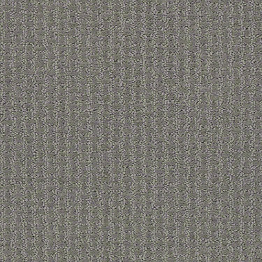 Complete Control Residential Carpet