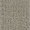 Complete Control Residential Carpet