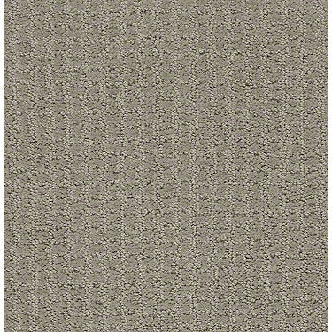 Complete Control Residential Carpet