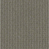 Complete Control Residential Carpet