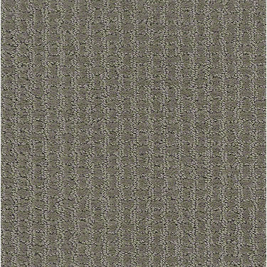 Complete Control Residential Carpet