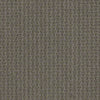 Complete Control Residential Carpet