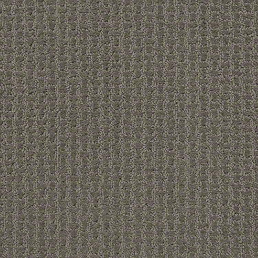 Complete Control Residential Carpet