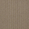 Complete Control Residential Carpet