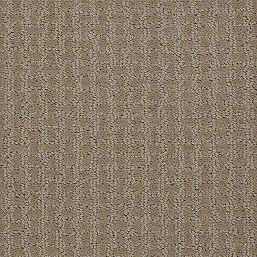 Complete Control Residential Carpet