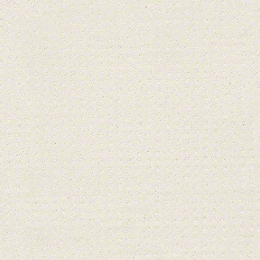 Perpetual Move Residential Carpet