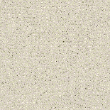 Perpetual Move Residential Carpet