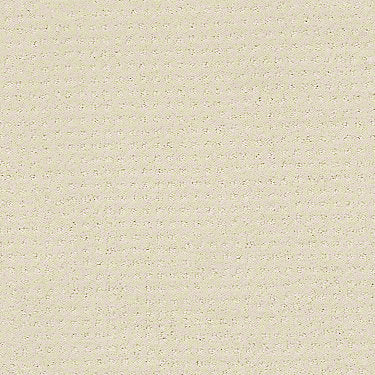 Perpetual Move Residential Carpet