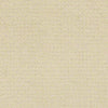 Perpetual Move Residential Carpet