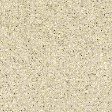 Perpetual Move Residential Carpet