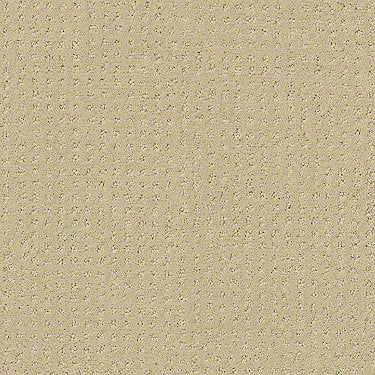 Perpetual Move Residential Carpet