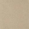 Perpetual Move Residential Carpet