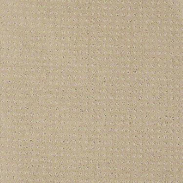 Perpetual Move Residential Carpet