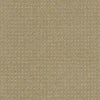 Perpetual Move Residential Carpet