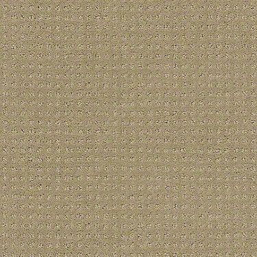 Perpetual Move Residential Carpet