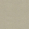 Perpetual Move Residential Carpet