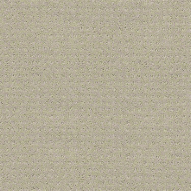 Perpetual Move Residential Carpet