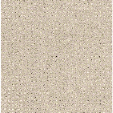 Perpetual Move Residential Carpet