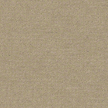 Perpetual Move Residential Carpet