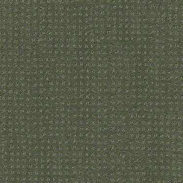 Perpetual Move Residential Carpet