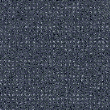 Perpetual Move Residential Carpet