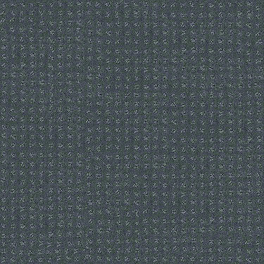 Perpetual Move Residential Carpet