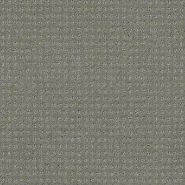 Perpetual Move Residential Carpet