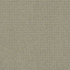 Perpetual Move Residential Carpet