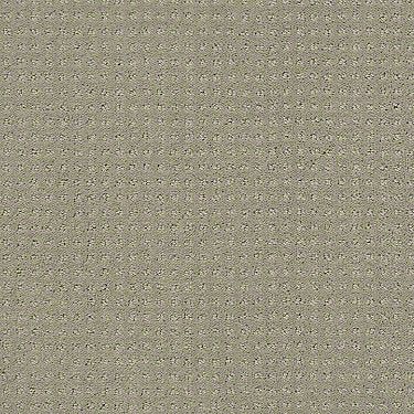 Perpetual Move Residential Carpet