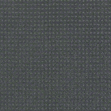Perpetual Move Residential Carpet