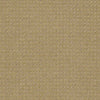 Perpetual Move Residential Carpet