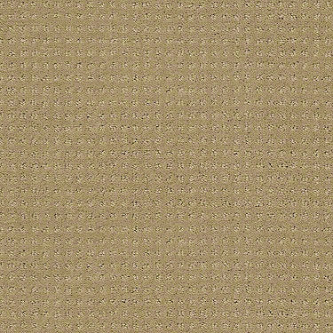 Perpetual Move Residential Carpet