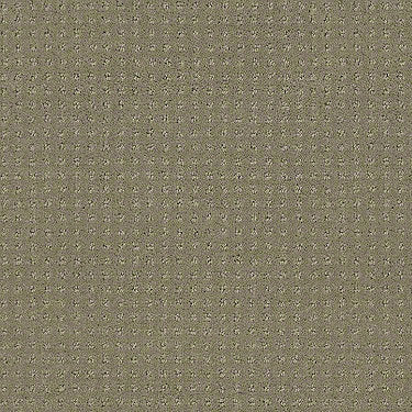 Perpetual Move Residential Carpet